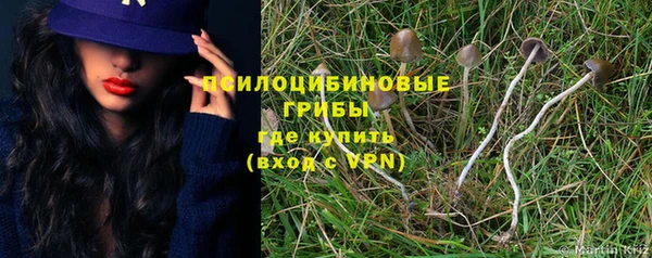 ECSTASY Армянск