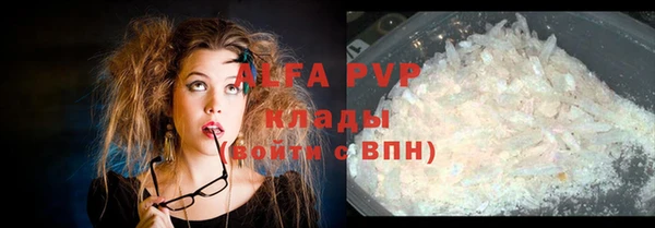 хмурый Арсеньев