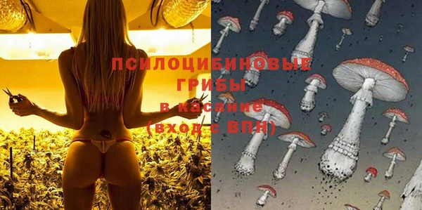 прущие крисы Саяногорск