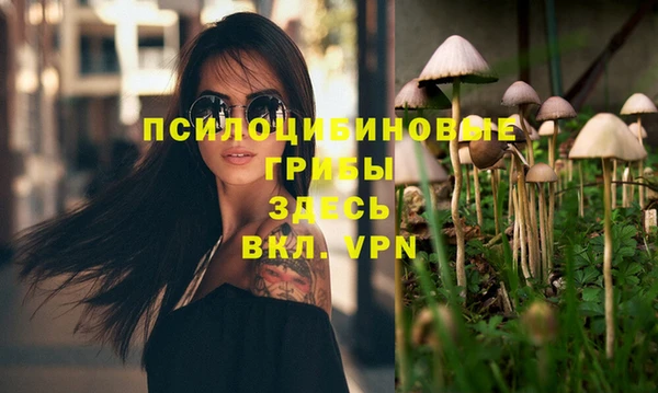 молекула духа Аркадак