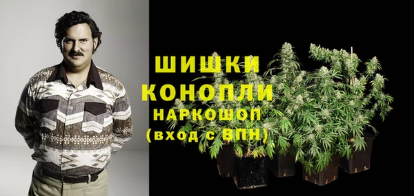 молекула духа Аркадак