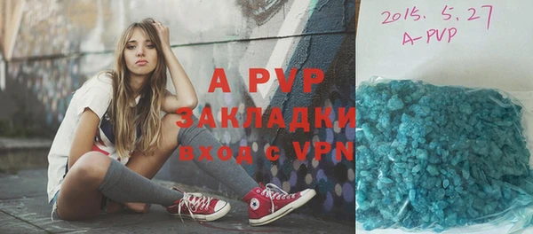 хмурый Арсеньев