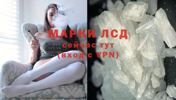 хмурый Арсеньев